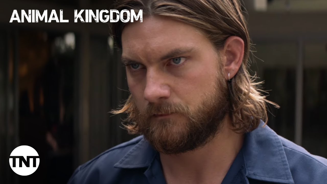 image 0 Animal Kingdom: A Cody House Fight - Season 5 Episode 8 [clip] : Tnt