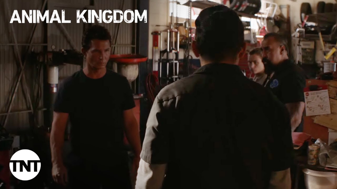 image 0 Animal Kingdom: Pope Cody Takes Pete’s Eye Out For Lying - Season 5 Episode 13 [clip] : Tnt