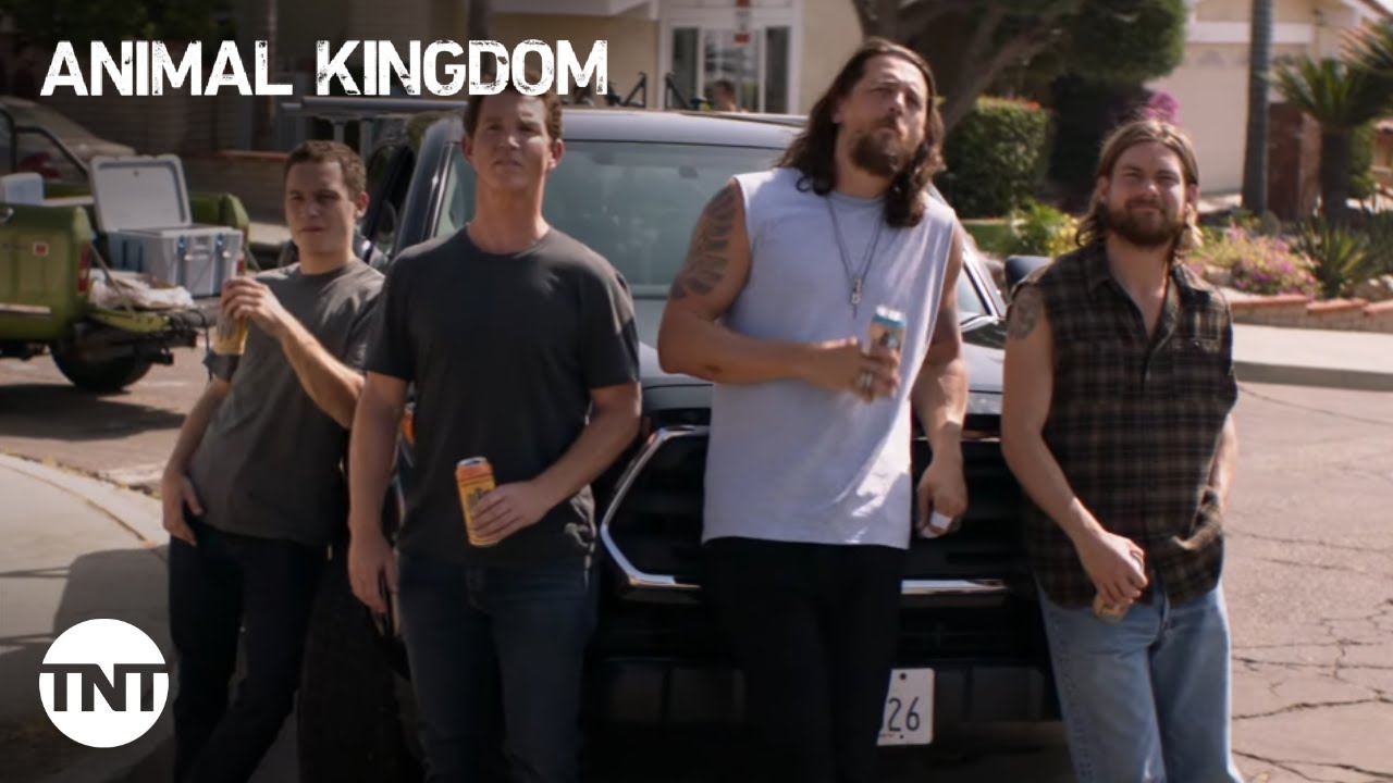 image 0 Animal Kingdom: The Cody Boys Have A Little Fun In Oceanside - Season 5 Episode 9 [clip] : Tnt