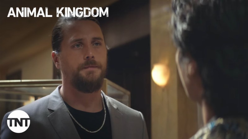 image 0 Craig Cases Out The Next Heist [clip] : Animal Kingdom : Tnt