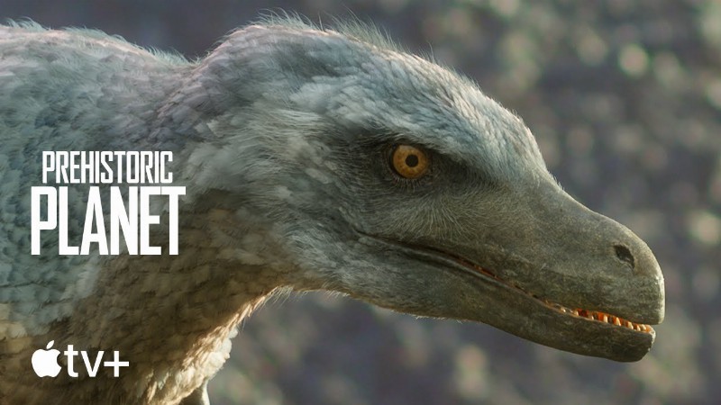 Prehistoric Planet — Uncovered: Did Velociraptor Have Feathers? : Apple Tv+