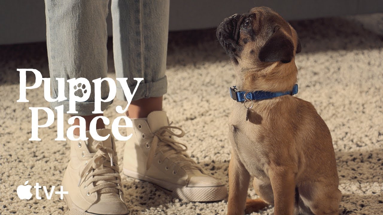 Puppy Place — Pugsley The Pug : Apple Tv+